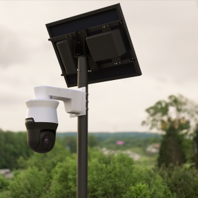 Flock surveillance system video